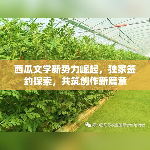 西瓜文学新势力崛起,独家签约探索,共筑创作新篇章