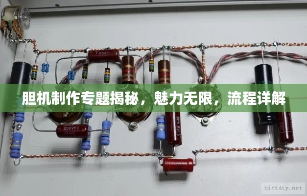胆机制作专题揭秘,魅力无限,流程详解