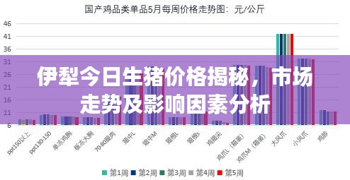 伊犁今日生猪价格揭秘,市场走势及影响因素分析