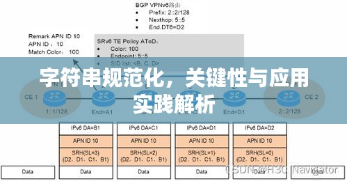 字符串规范化,关键性与应用实践解析