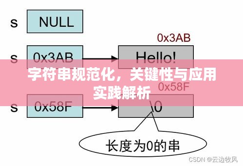 字符串规范化,关键性与应用实践解析
