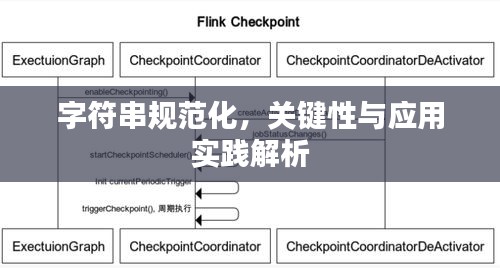 字符串规范化,关键性与应用实践解析