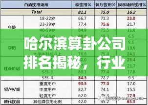 哈尔滨算卦公司排名揭秘,行业深度解读与解析