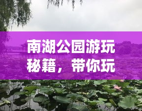 南湖公园游玩秘籍,带你玩转美景盛宴!