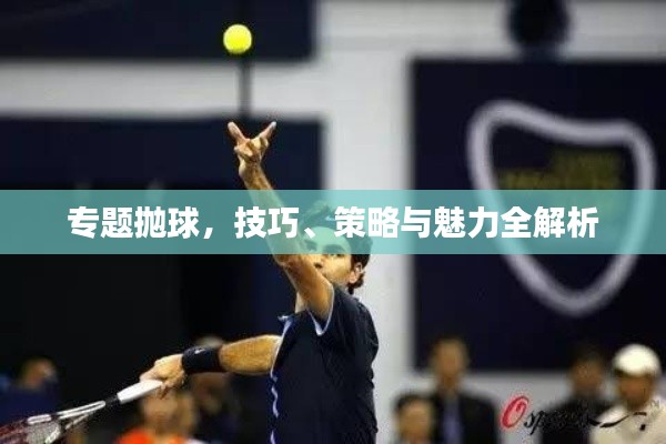 专题抛球,技巧、策略与魅力全解析