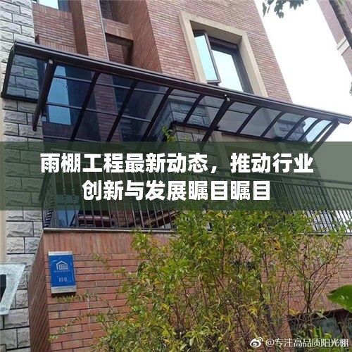 雨棚工程最新动态,推动行业创新与发展瞩目瞩目