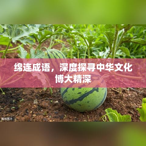 绵连成语,深度探寻中华文化博大精深