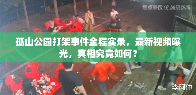 孤山公园打架事件全程实录,最新视频曝光,真相究竟如何?
