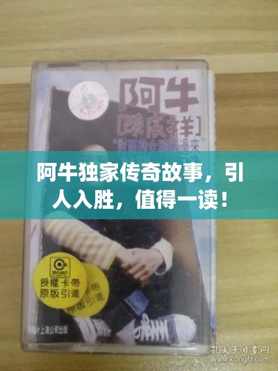 阿牛独家传奇故事,引人入胜,值得一读!