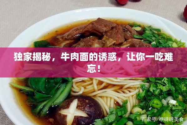 独家揭秘,牛肉面的诱惑,让你一吃难忘!