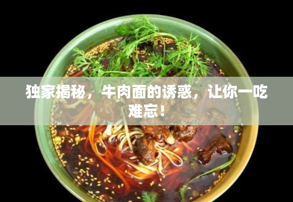 独家揭秘,牛肉面的诱惑,让你一吃难忘!