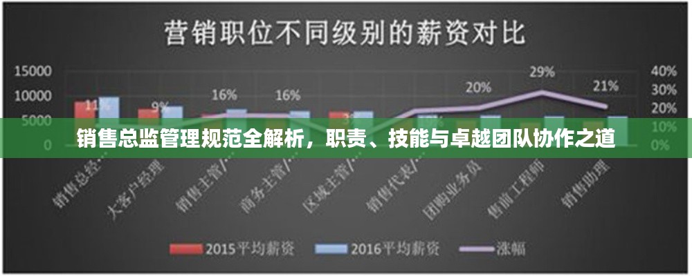 销售总监管理规范全解析,职责、技能与卓越团队协作之道