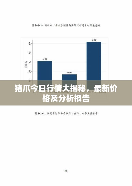 猪爪今日行情大揭秘,最新价格及分析报告