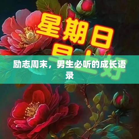 励志周末,男生必听的成长语录