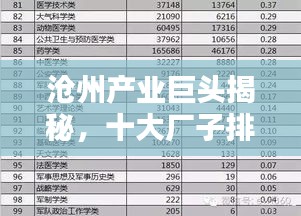 沧州产业巨头揭秘,十大厂子排名榜单!