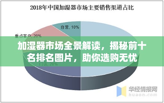 加湿器市场全景解读,揭秘前十名排名图片,助你选购无忧