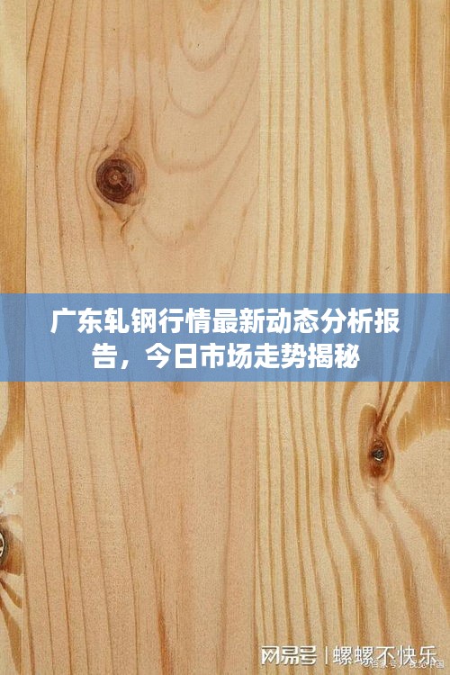 广东轧钢行情最新动态分析报告，今日市场走势揭秘