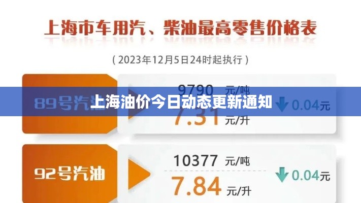 上海油价今日动态更新通知