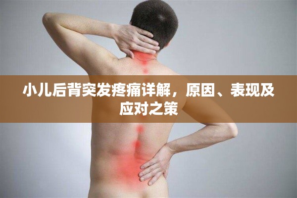 小儿后背突发疼痛详解,原因、表现及应对之策