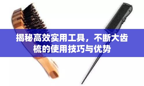 揭秘高效实用工具,不断大齿梳的使用技巧与优势