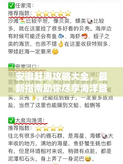 安徽赶海攻略大全,最新指南助你尽享海洋盛宴!