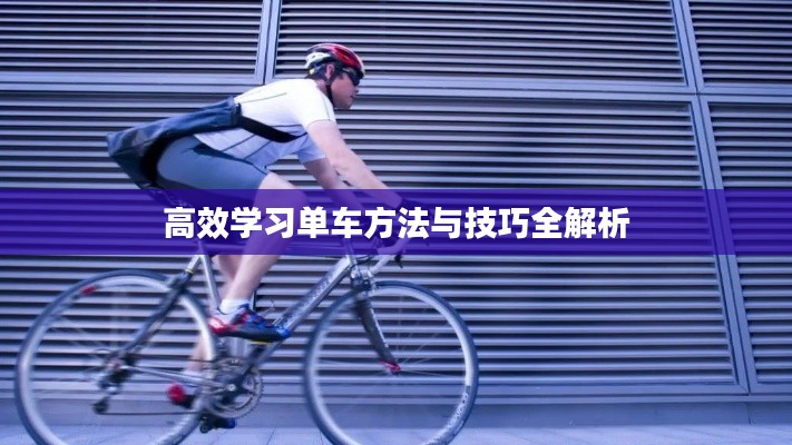 丰容盛鬋 第2页