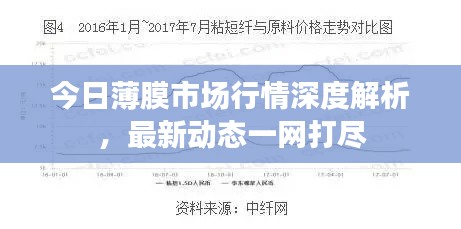 今日薄膜市场行情深度解析,最新动态一网打尽