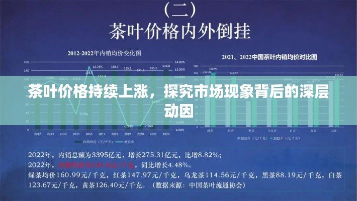 茶叶价格持续上涨,探究市场现象背后的深层动因