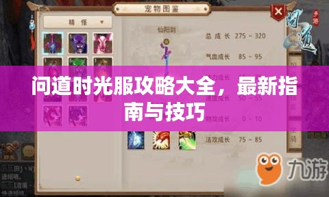 问道时光服攻略大全,最新指南与技巧