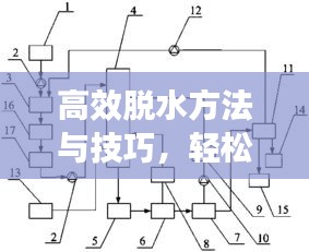 高效脱水方法与技巧,轻松解决水分问题