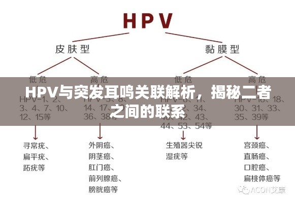 HPV与突发耳鸣关联解析,揭秘二者之间的联系