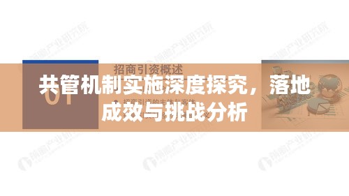 共管机制实施深度探究,落地成效与挑战分析