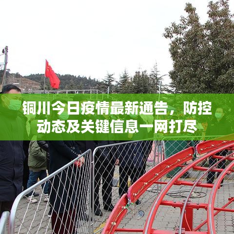 铜川今日疫情最新通告,防控动态及关键信息一网打尽