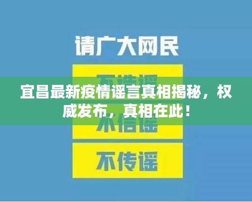 宜昌最新疫情谣言真相揭秘,权威发布,真相在此!
