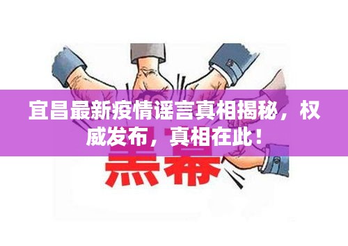 宜昌最新疫情谣言真相揭秘,权威发布,真相在此!