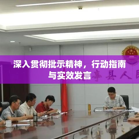 深入贯彻批示精神,行动指南与实效发言