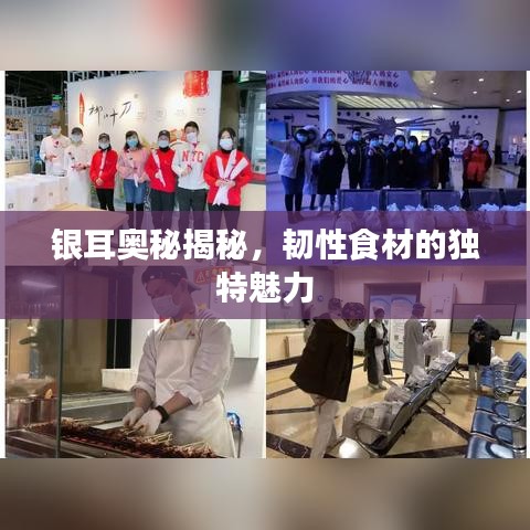 银耳奥秘揭秘,韧性食材的独特魅力