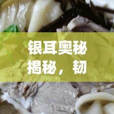 银耳奥秘揭秘,韧性食材的独特魅力