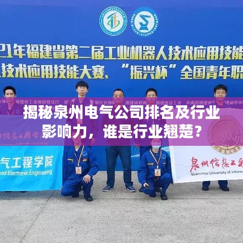 揭秘泉州电气公司排名及行业影响力,谁是行业翘楚?