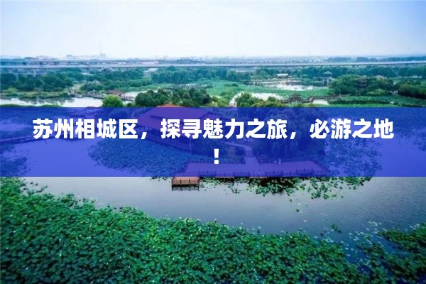 走马章台 第2页