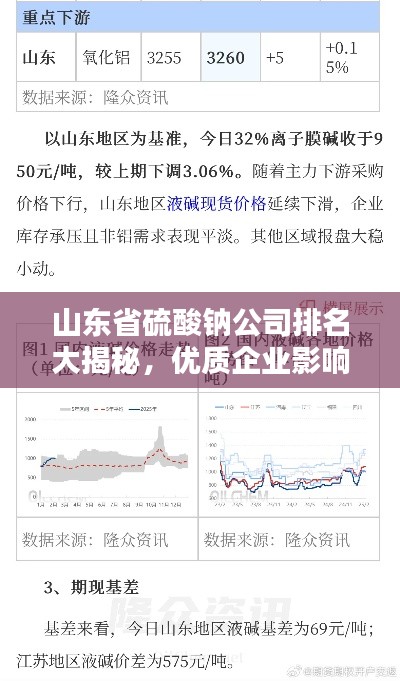 山东省硫酸钠公司排名大揭秘,优质企业影响力分析
