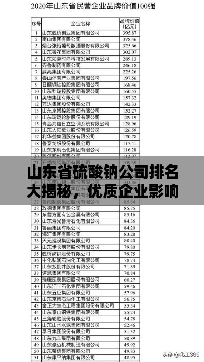 山东省硫酸钠公司排名大揭秘,优质企业影响力分析