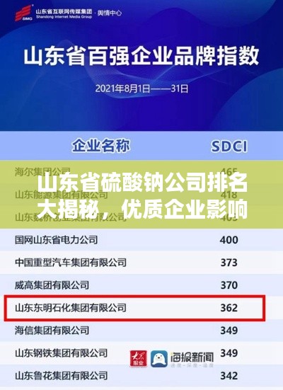 山东省硫酸钠公司排名大揭秘,优质企业影响力分析
