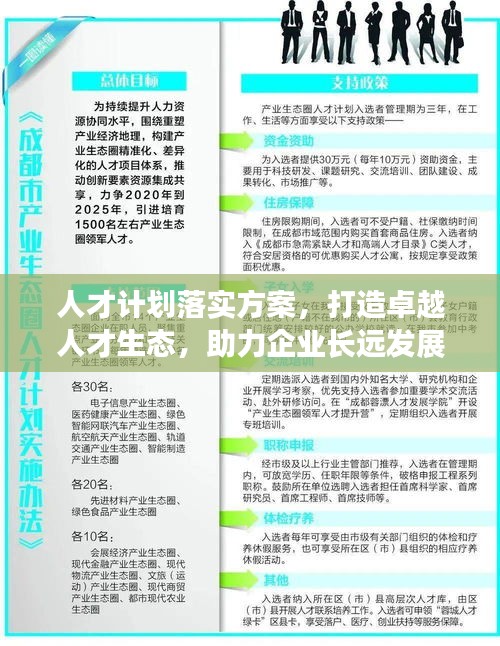 人才计划落实方案,打造卓越人才生态,助力企业长远发展