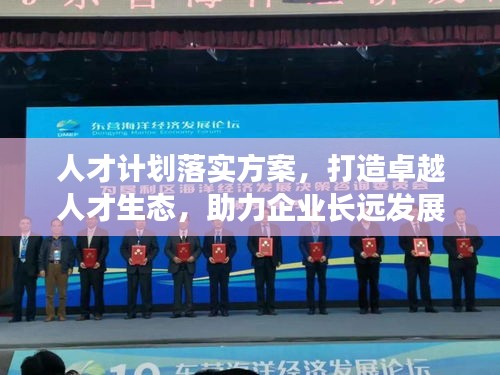 人才计划落实方案,打造卓越人才生态,助力企业长远发展
