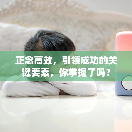 正念高效,引领成功的关键要素,你掌握了吗?