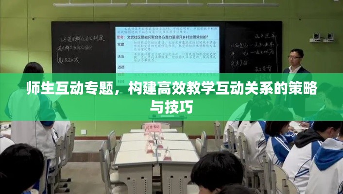 师生互动专题,构建高效教学互动关系的策略与技巧