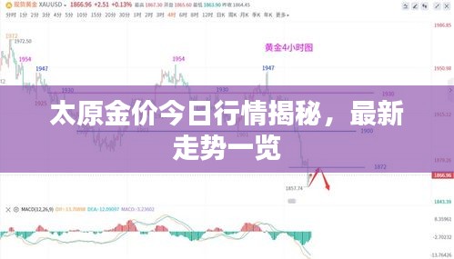 太原金价今日行情揭秘,最新走势一览