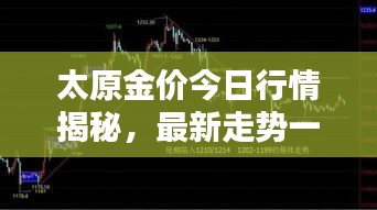 太原金价今日行情揭秘,最新走势一览