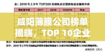 咸阳薄膜公司榜单揭晓,TOP 10企业排名榜单出炉!